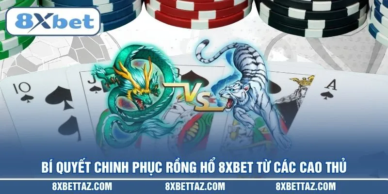Bí quyết chinh phục Rồng hổ 8XBET từ các cao thủ
