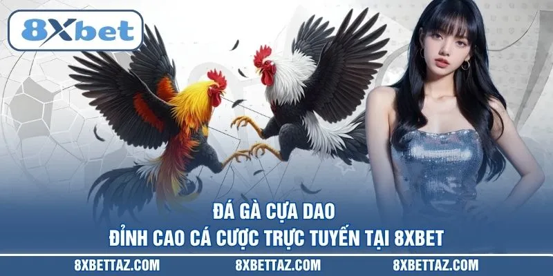 Đá gà cựa dao – Đỉnh cao cá cược trực tuyến tại 8XBET