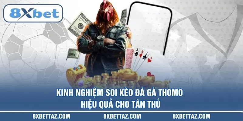Kinh nghiệm soi kèo Đá gà Thomo hiệu quả cho tân thủ