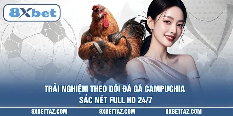 Trải nghiệm theo dõi Đá gà Campuchia sắc nét Full HD 24/7